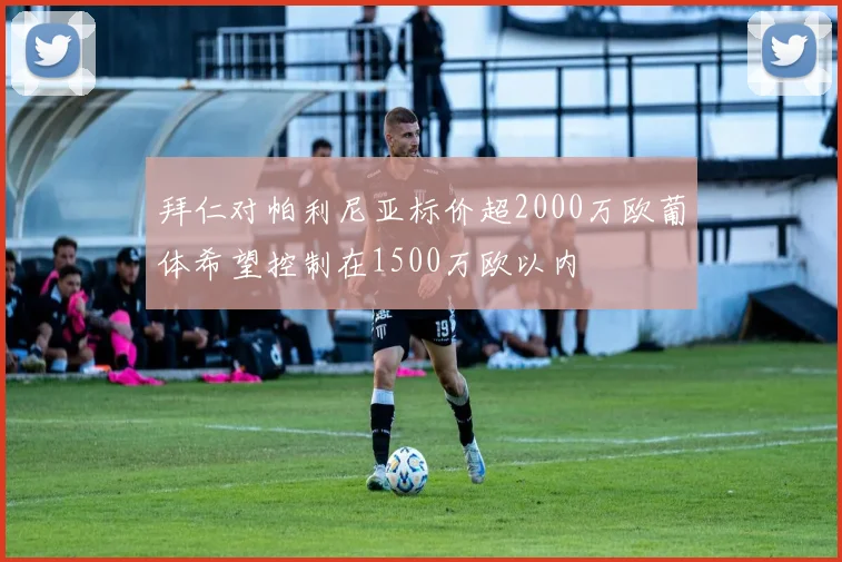 拜仁对帕利尼亚标价超2000万欧葡体希望控制在1500万欧以内