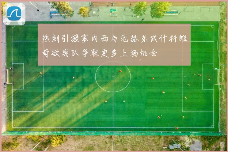 热刺引援塞内西与范赫克武什科维奇欲离队争取更多上场机会